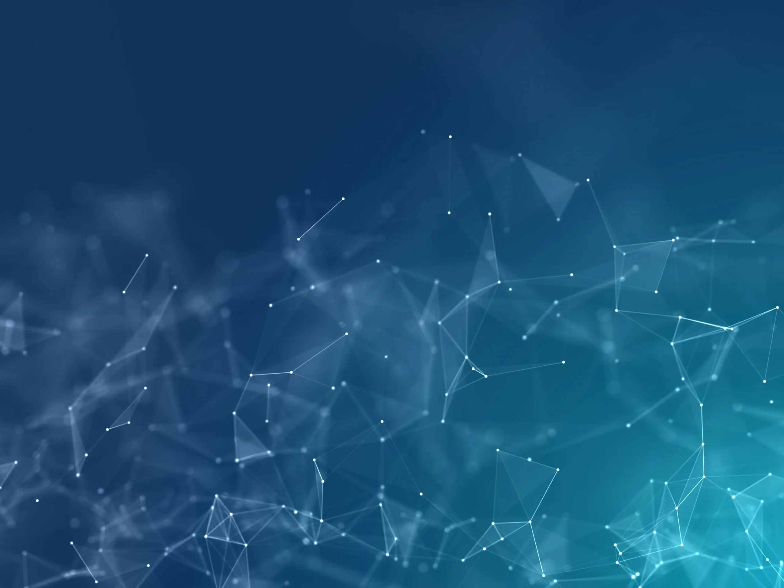Custom Web Development